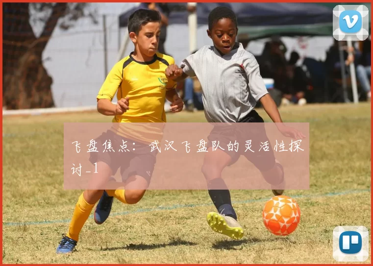 飞盘焦点：武汉飞盘队的灵活性探讨_1