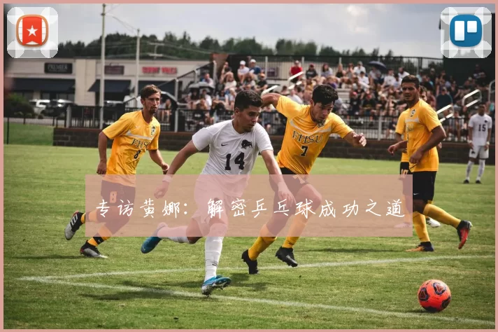 专访黄娜：解密乒乓球成功之道