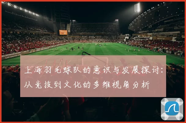 上海羽毛球队的意识与发展探讨：从竞技到文化的多维视角分析